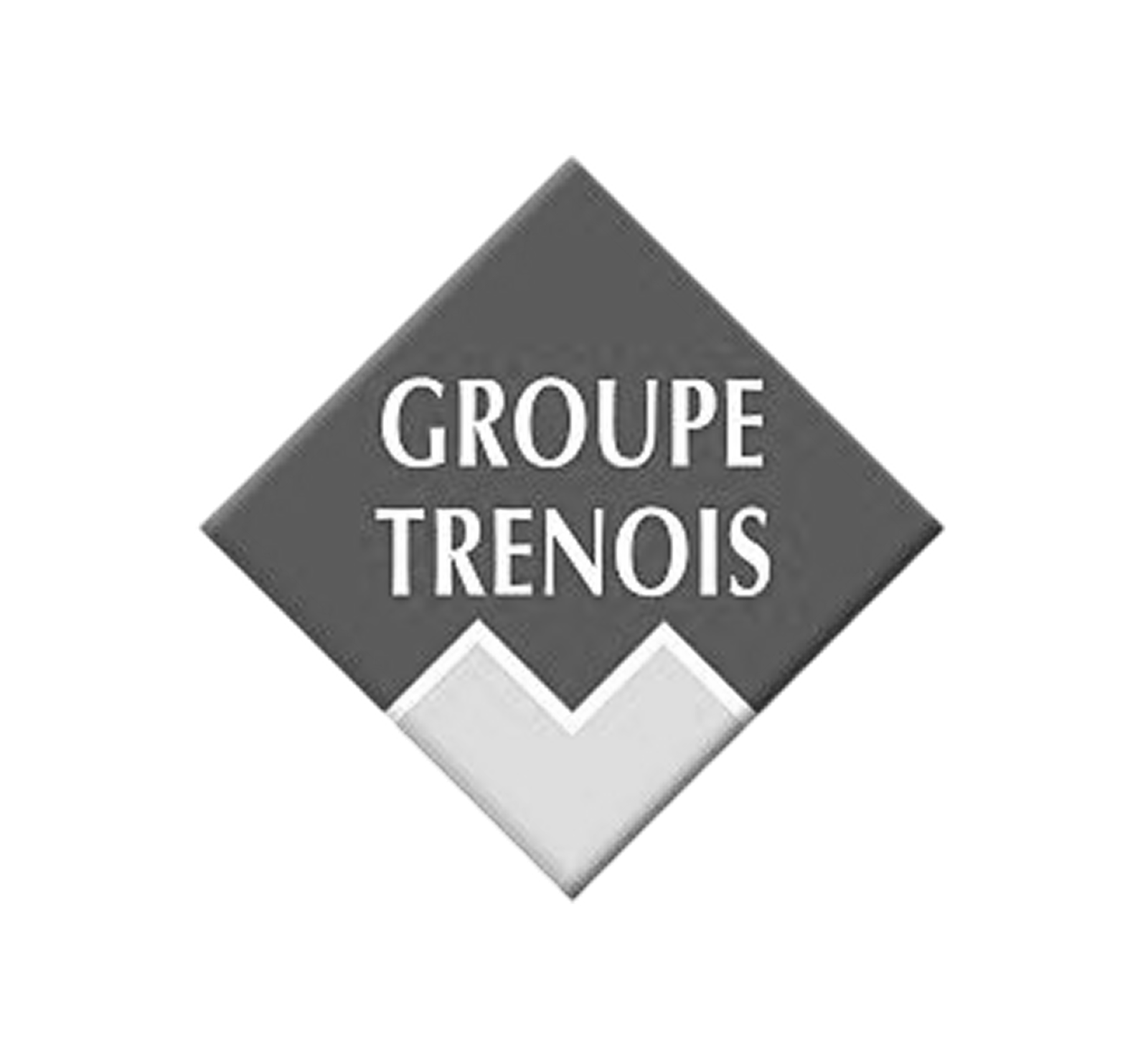 Logo Groupe Trenois